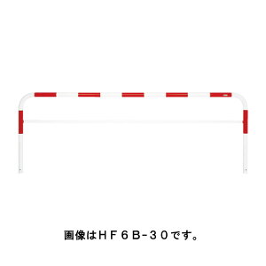 TL |[ Ԏ~ oJ[h[}NQ[g^Cv HF6B-30  [s]