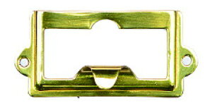 yhD[uz[]l[v[g CFP [ST315P] S[h