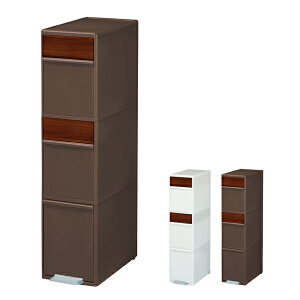 ʃXCOXe[VCh ؖڒpl 55L BWP-12BSWS