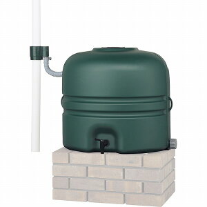 yj\zyJ^NzyrzCXgbJ[ 110L O[ ֌ 602601220