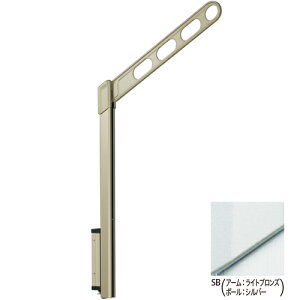 y ꕔn揜zZ ǗpzXN[㉺ X^_[h^Cv EP-55-SB CguY{Vo[ 1Zbgi2{gj ep55sb