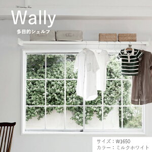 y݌ɂzy[zyEߏzyXcA~HƁzyEH[[zVFt Wally W1650 ~NzCg