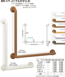 yVN}zǂł肷L` BR-171 600×600 MI[NiʁF1j