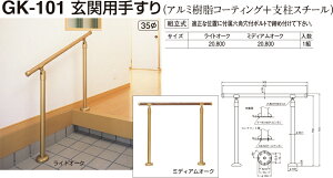 yVN}z֗p肷 GK-101 ~fBAI[NiʁF1j