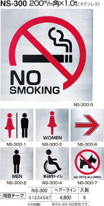 yVN}zTC NS-300-4 Ԉ֎q HLiʁF1j