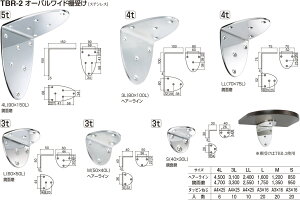 yVN}zI[oChI TBR-2 M wA[CiʁF1j