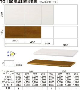 yVN}zWޒIB` TG-100 250×250 _[NI[NiʁF1j
