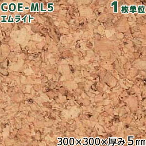 RN VRICdRN^C i` COE-N5 TCY:300×300×5mm 1P gbp[RN g[Ή (iCOE-ML5) 2021N5`Vi