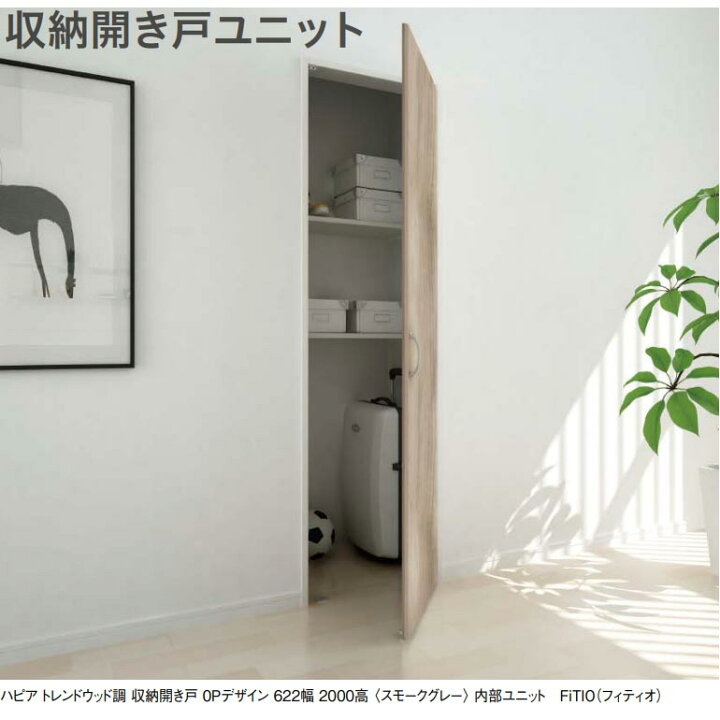 収納開き戸(DaIKEn)引き取り限定