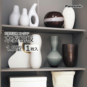 Panasonic ֗p[ R|AؐI 1.5^ 1 iԁFQCE2TWN11 W^CvE^^Cv VERITIS ǉ I  i