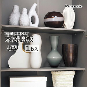 Panasonic ֗p[ R|AؐI 3^ 1 iԁFQCE2TWN31 W^CvE^^Cv VERITIS ǉ I  i