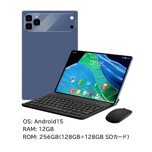 �y2026�ŐV�^��Android15�z�^�u���b�g �V�i 10.1�C���` ���� FullHD RAM 6GB~16GB + 64GB~256GB ROM IPS�t�� �y�� Wi-Fi �A���h���C�h15 �i���^�u���b�g �e�����[�N �l�b�g���� ���掋�� �d�b sim�t���[ ���S�� 