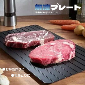 解凍プレート 急速解凍 粗熱とり エコ お弁当作り アルミ