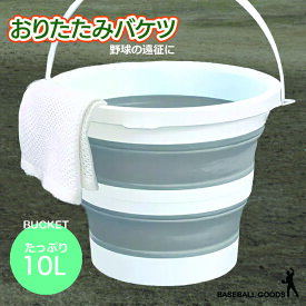 バケツ おりたたみ 携帯バケツ3L 5L 10L 大容量 アウトドア 遠征