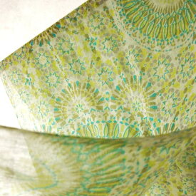 インド 薄手ウールプリントストール（スカーフ、マフラー、ショール） ライトグリーン プレゼント アジアン 母の日 エスニック