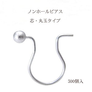 b mz[sAX cۋʃ^Cv10×9mm150yA(300)yWE(F)z mz[@ p p[c nhCh Ntg ANZT[