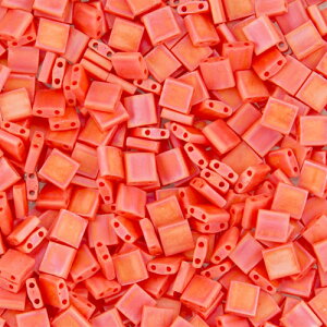 MIYUKI TILA(�e�B��)�r�[�Y (5×5×1.9mm)7g(TL406FR/�c�����I�����W�M���NAB)