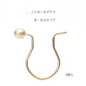 b mz[sAX cۋʃ^Cv10×9mm2yA(4)yS[hz mz[ nhCh Ntg ANZT[