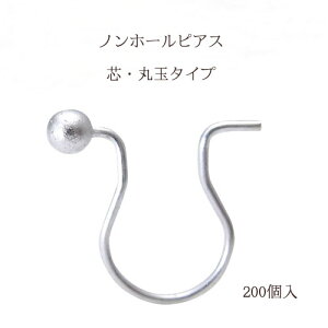 b mz[sAX cۋʃ^Cv10×9mm100yA(200)yWE(F)zbL  p mz[ nhCh Ntg ANZT[