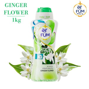 yP3{5OFFN[|z r[Y WW[t[ {̃{g 1kgi40񕪁j CbNzCgXN̍ At[ J[|bh _ܓ Zgu[X^[ {g L