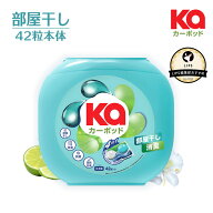 【王子製薬公式】【楽天ランキング週間第1位獲得】柔軟剤入り洗剤 部屋干しカーポッド 本体ケース(42粒入…