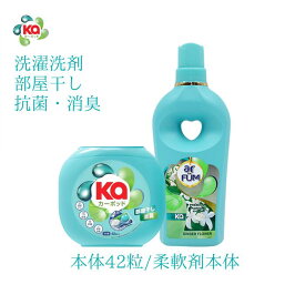【最大50％OFF！マラソンセール開催】柔軟剤入り洗濯洗剤 本体＋柔軟剤セット 合計42粒＋1000ml 部屋干しカーポッド EX ジェルボール型洗剤 ジンジャーフラワーの香り 時短 便利 抗菌 部屋干し対応 ギフト【メーカー直営 王子製薬 国内生産】