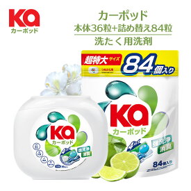 【王子製薬公式】柔軟剤入り洗濯洗剤 カーポッド 本体＋詰替セット(合計120粒入り)シトラスティー＆ホワイトムスク 無添加 部屋干し対応 4in1 ジェルマジックボール 消臭 抗菌 洗濯用洗剤 カージェルマジックボール【メーカー直営 王子製薬 国内生産】