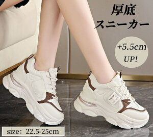 fB[X Xj[J[ Xj[J[ \[ jOV[Y Xj[J[ EH[LOV[Y g[jO ʋC  ^C WMO y JWA bV gh 