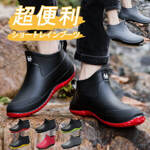 y1_15A2_50OFFN[|zCu[c CV[Y Y Sh ₷ V[g u[c AEghA Ȃ JC y IV ₷ h ނ  L _