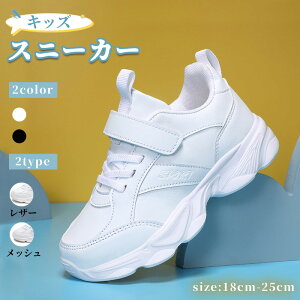 LbY ^C  Xj[J[ _bhXj[J[  X|[cV[Y q qC LbYV[Y ʊw Ȃ ʋC LbY  qp _X X|[cC jp [J