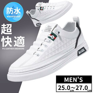 U[Xj[J[ Y tFCNU[ V[Y amC PUU[ h JWA ʋ ʊw y K ʋC zCg EH[LO jO ɂ x[W rWlX X|[c