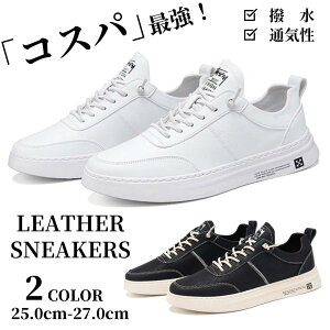 U[Xj[J[ Y tFCNU[ vC U[V[Y h h JWA tH[} ubN zCg V[NbgV[Y  Y Xj[J[ ʋ ʊw n Vv