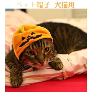 y1_15A2_50OFFN[|zybgXq LpRXvnEB ڂ  ybgRXv ϑ 킢  y p[eB[ LO RXv ʐ^ L nEB RX