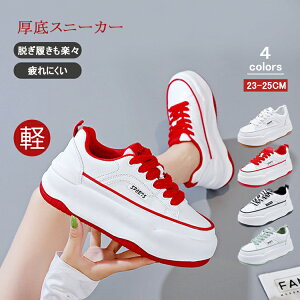 Xj[J[ fB[X C X|[cV[Y V[Y ~ h r r ₷ Ȃ ɂȂ ʋC Vv ʋ gAbv  H~ ʊw {ꃀ