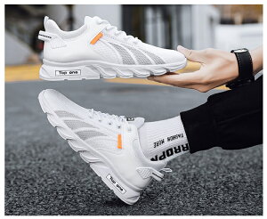 StV[Y Y Xj[J[ ₷ JWA jOV[Y EH[LOV[Y h ^C  g[jO ^V[Y ʋC ʋ ʊw ~