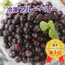 冷凍 ブルーベリー 1kg（砂糖不使用）ヨーグルトや、スムージーに入れるだけ［餃子の王国］