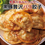 黒豚贅沢パリ餃子（20g×12個）パリパリ食感がクセになる薄型餃子[餃子の王国]