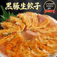 【黒豚生餃子】当店人気NO.1餃子★国産野菜100％【希少 黒豚 バークシャー種100％使用】 餃子 セット 冷…