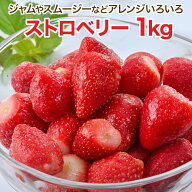 冷凍ストロベリー 1kg 甘さと酸味をバランス良く持ち合わせたストロベリー [餃子の王国]