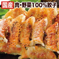餃子の王国「工場直売生餃子72個」セット（24個×3パック） 餃子 セット 【送料込】国産野菜に、九州産豚…