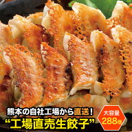 【送料無料】 お徳用 餃子 セット 業務用 工場直売生餃子 288個（24個×12パック）ビニール袋・焼き方レ…
