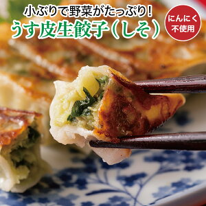 琶Lq() 24yjjNsgpITCYzYtgLq M[U Y Ⓚ ⓀLq ɂɂȂ Lq Zbg