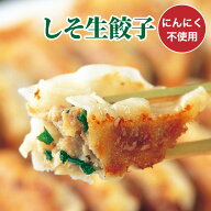 ［餃子の王国］しそ生餃子 ニンニク不使用 国産野菜・肉100％使用 にんにくなし 餃子 セット 冷凍餃子