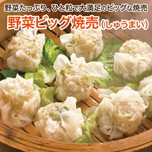 ؃rbOĔ 8 ؂ՂAꗱő喞̃rbOȃVE}CB イ܂ 傫 W{ Ⓚ `W ȒPmLq̉n