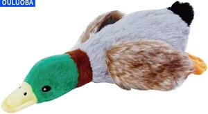 ybg  ̏o邨  ʂݐ ނ ybgpi oʂ EE^ɓKpyCOʔ́z