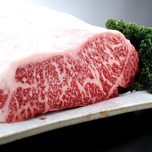 yzy 5kg ubNzߍ] v~AubN 5,000gyʔ̌zyߍ]͏⋍E_ˋƕԓ{OuhazyXe[L/[Xgr[t/ēɍœK