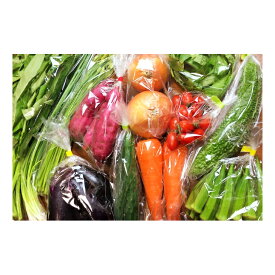 おまかせ　有機野菜　無農薬野菜　野菜セット　Sセット（4品）