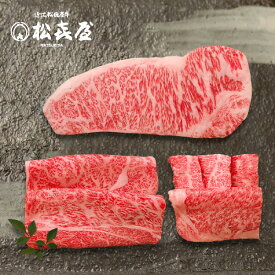 食べつくしセット 近江牛肉 サーロインステーキ、すき焼きしゃぶしゃぶ(ロース・カタロース)、あみ焼き(ロース・モモ)食べつくしセット お取り寄せグルメ