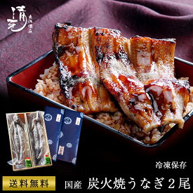 土用 丑の日 鰻200g お中元 鰻 ギフト プレゼント うなぎ 国産鰻蒲焼き2匹 誕生日 お祝い 内祝 お返し 食べ物 グルメ 国産 ウナギ 鰻 蒲焼き 炭焼き 長蒲焼 炭火焼き お取り寄せ 贈り物 料亭の味 割烹 日本料理 清元 お中元 うなぎ200g うなぎ中