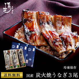 土用 丑の日 鰻200g お中元 鰻 ギフト プレゼント 父の日ギフト うなぎ 国産鰻蒲焼き3匹 誕生日 お祝い 内祝 お返し 食べ物 グルメ 国産 うなぎ ウナギ 鰻 蒲焼き 炭焼き 長蒲焼 炭火焼き お取り寄せ 贈り物 料亭の味 割烹 日本料理 清元 お中元 うなぎ200g